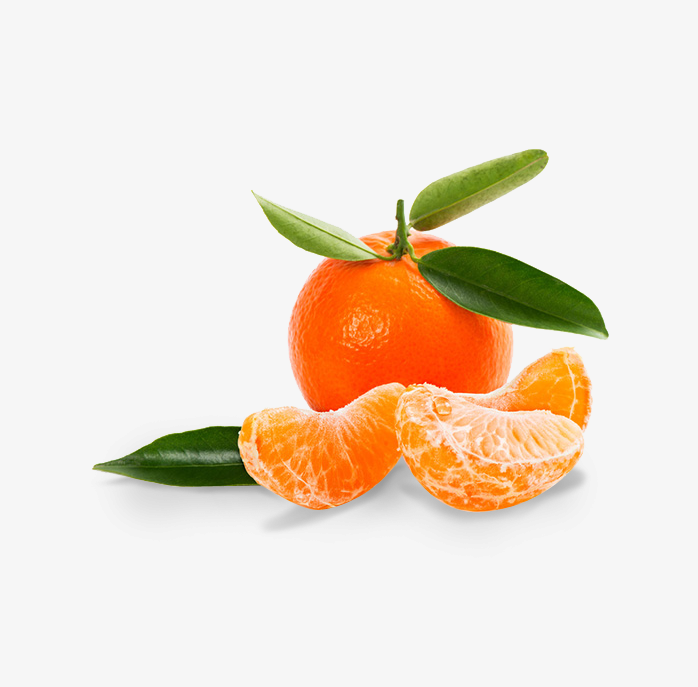橘子