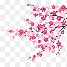 手绘花朵