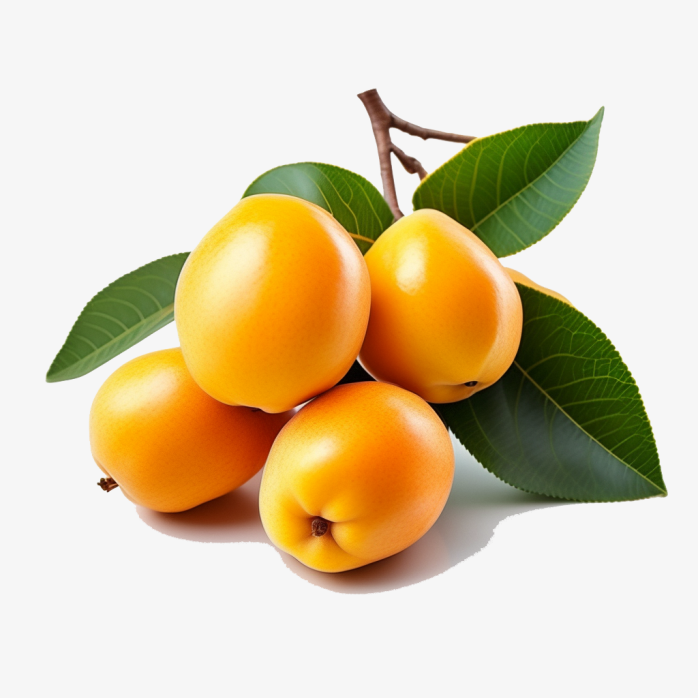 琵琶果