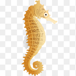 卡通海马