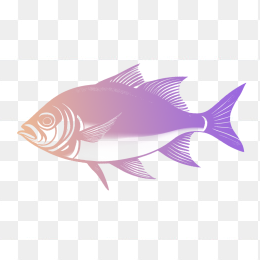 矢量海鱼