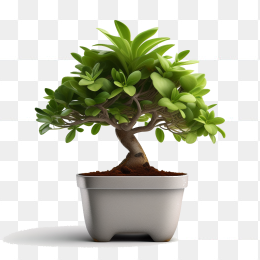 盆栽