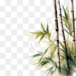 中国风水墨竹子画