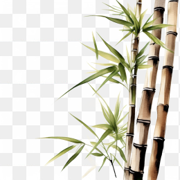 中国风水墨竹子画