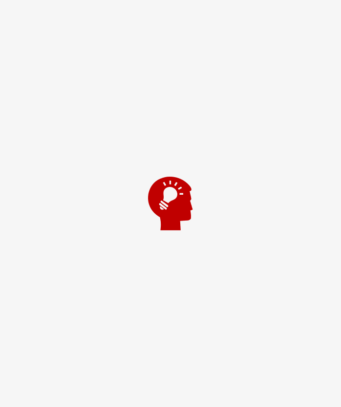 PPT图标