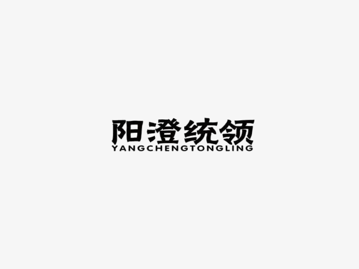 阳澄统领