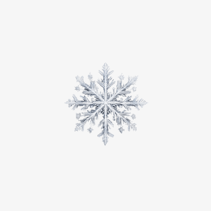 雪花3D