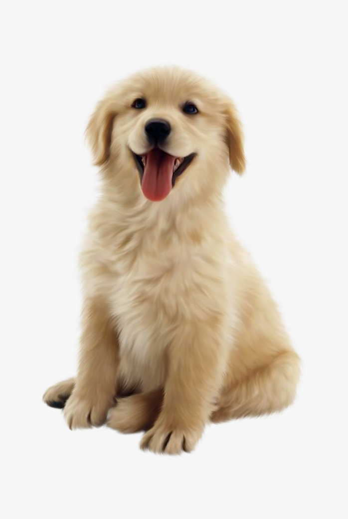 狗