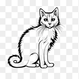 rt6绘小猫轮廓