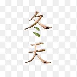 冬天创意树枝字体