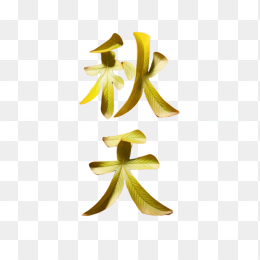 秋天立体字