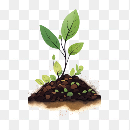 卡通植物