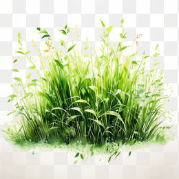 手绘小草坪