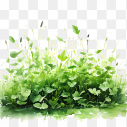 手绘野草坪