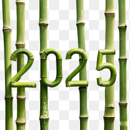 竹子2025