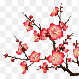 原创手绘腊梅植物