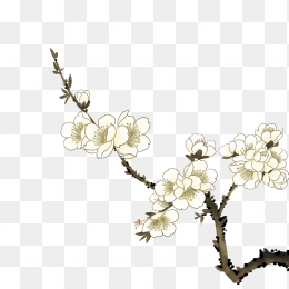 快图网原创手绘梅花