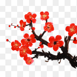 快图网独家原创手绘腊梅绘画