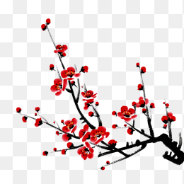 快图网独家原创手绘腊梅绘画