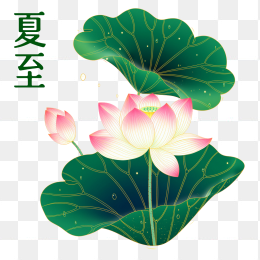 快图网原创夏至手绘荷花