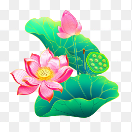 快图网原创手绘荷花