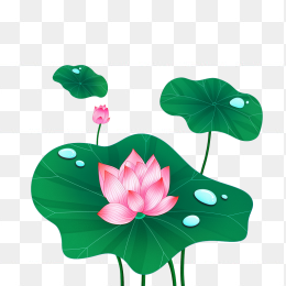 快图网原创手绘荷花