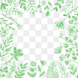 原创手绘北欧风格植物花边框