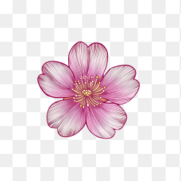 原创粉色樱花元素