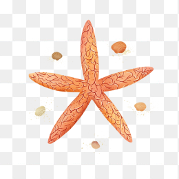 原创手绘海星元素