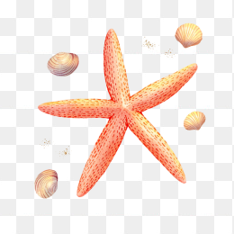 原创手绘海星元素