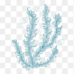 原创手绘海草