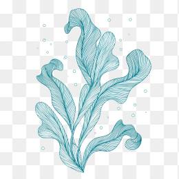 原创手绘海草