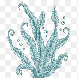 原创手绘海草