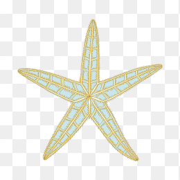 原创手绘海星