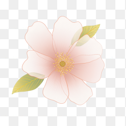 原创手绘矢量花朵