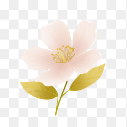 原创手绘矢量花朵