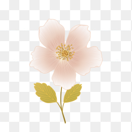 原创手绘矢量花朵