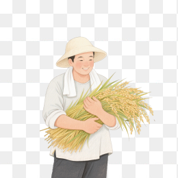 快图网原创抱着稻谷的农民