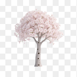 快图网原创樱花树