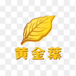 黄金叶logo