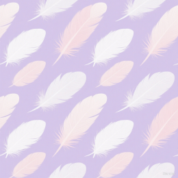 快图网原创羽毛平铺背景