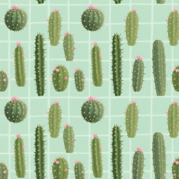 快图风原创仙人掌平铺背景