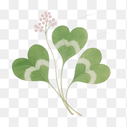 快图网原创手绘三叶草