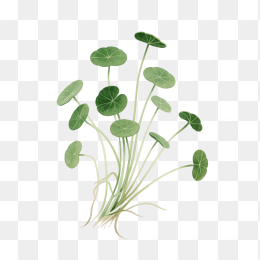 快图网原创手绘雪草