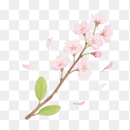 快图网原创手绘樱花