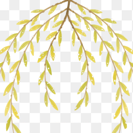 快图网原创手绘柳条