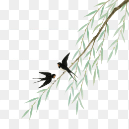 快图网原创手绘春天柳条