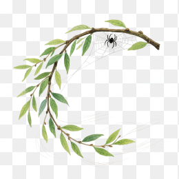 快图网原创手绘春天柳条植物