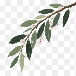 快图网原创手绘春天植物