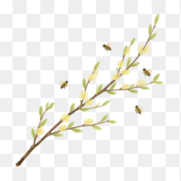 快图网原创手绘春天柳条植物